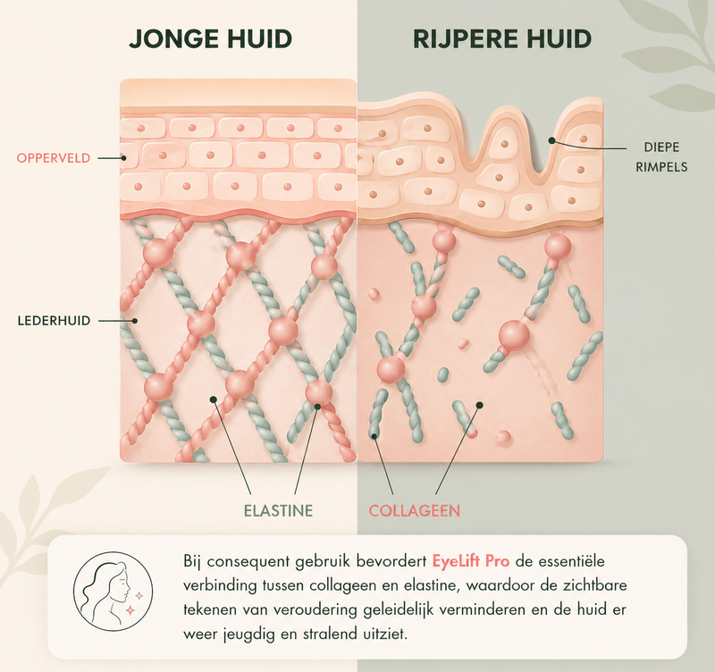 4. Sneller herstel, op celniveau